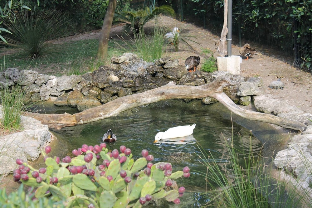 Photo 40