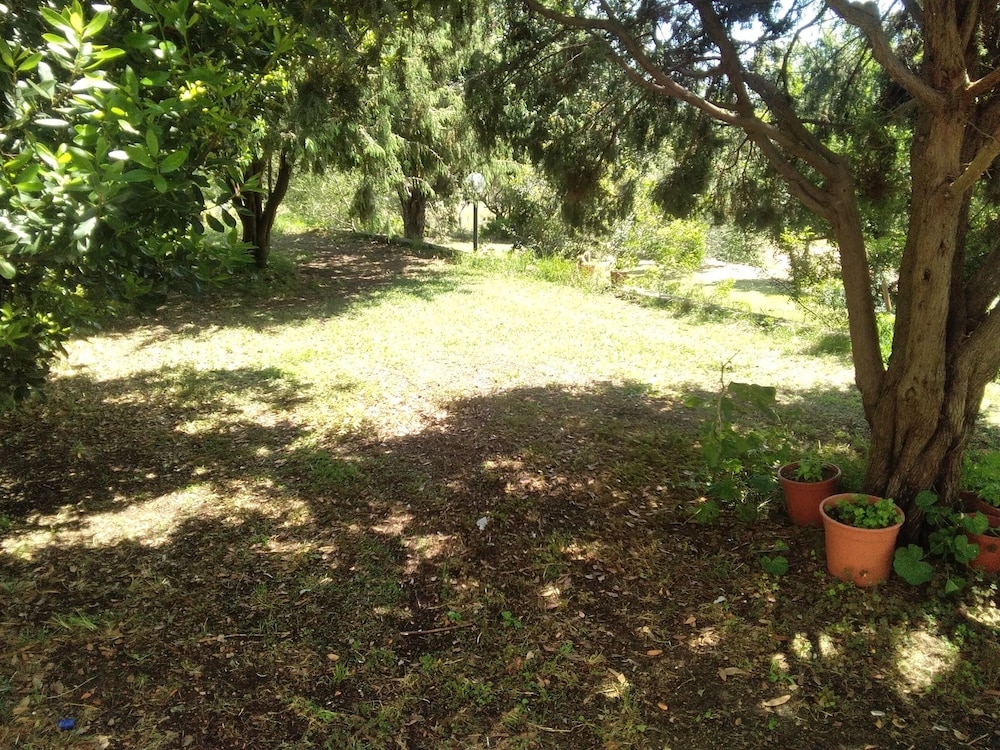 Daillu en Olbia — other