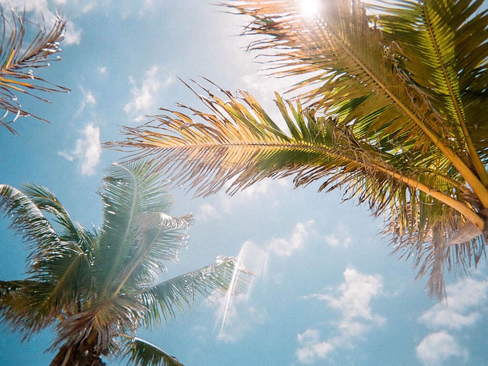 VIlla in Champions Gate Resort 1529 - Image 3