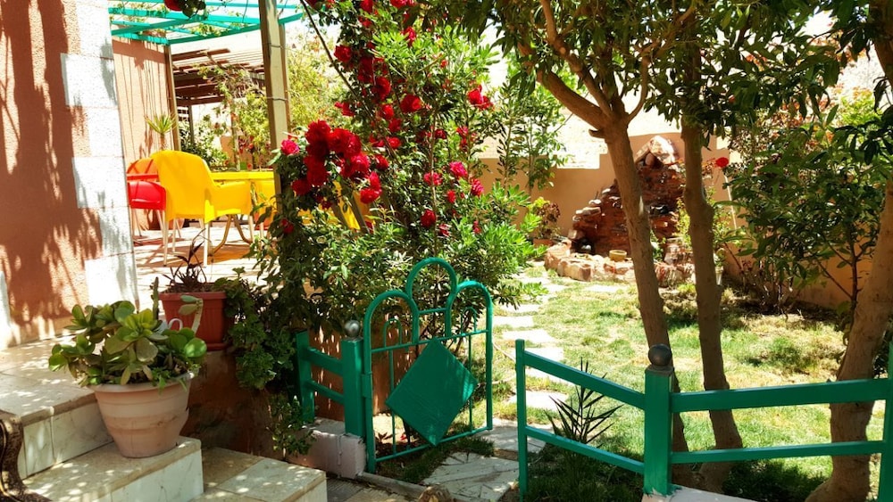 Photo 13