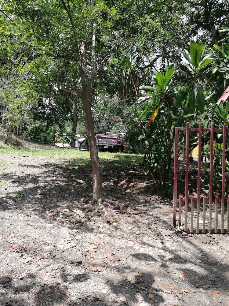 Photo 45