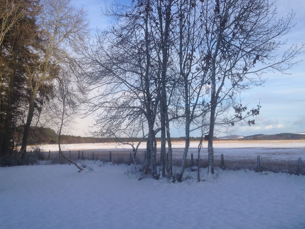 Photo 49