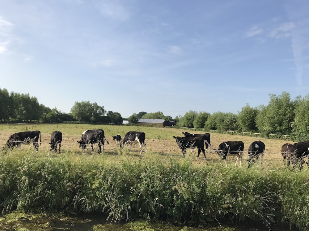 Double-gate Farm