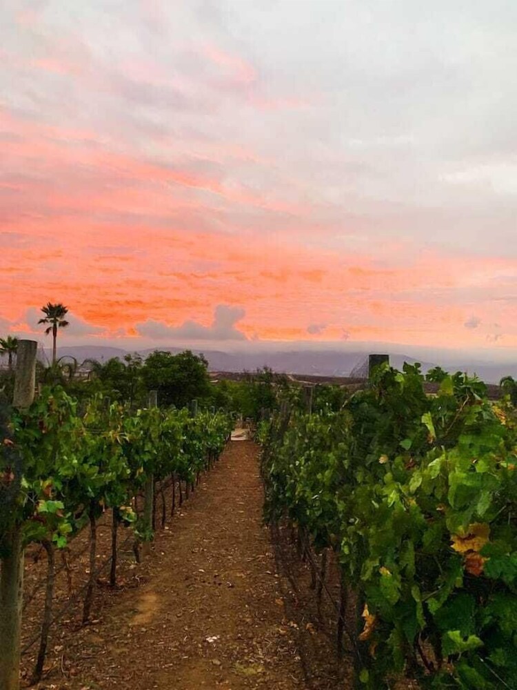 Hacienda Martlot