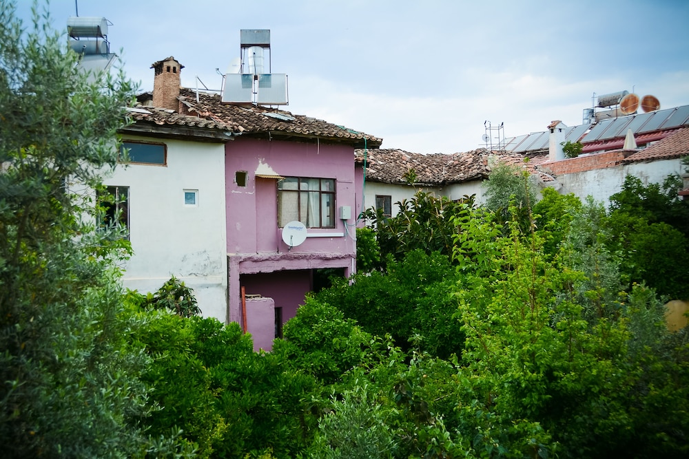 Villa Verde - Special Class