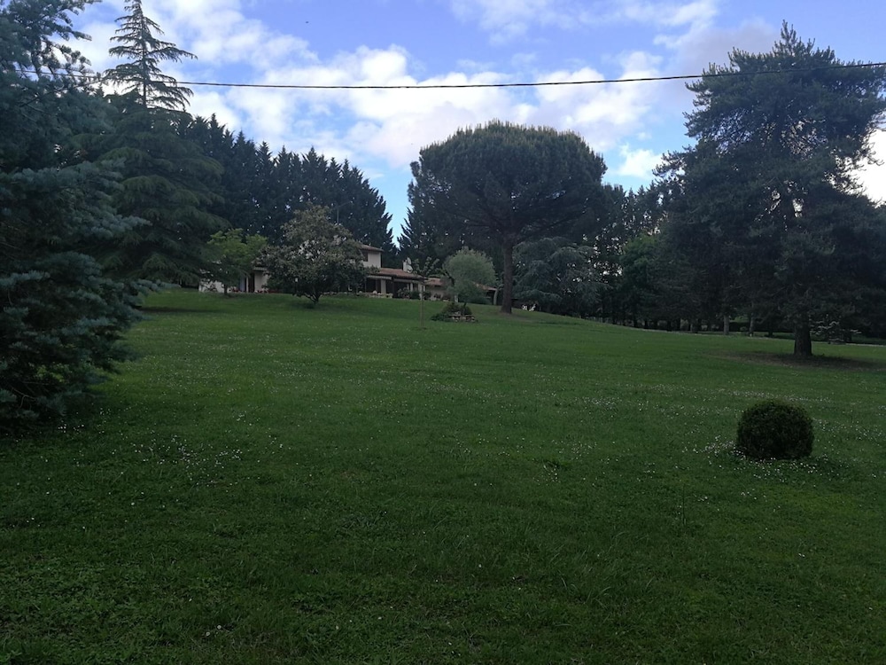 Photo 29