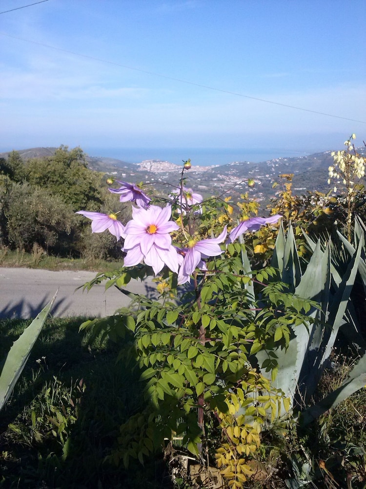 B&B Casale San Martino