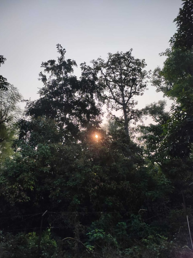 Vanasthali Jungle Resort Jim Corbett