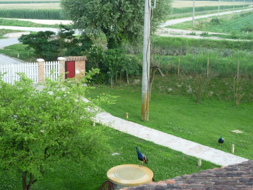 Photo 48