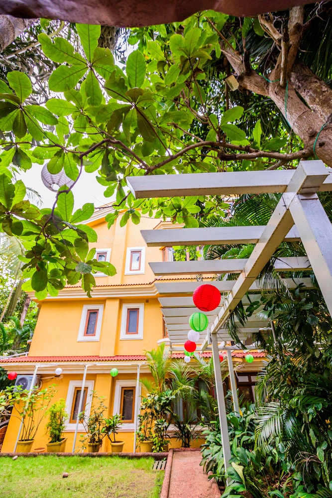 Bougainvillea Guest House view 4