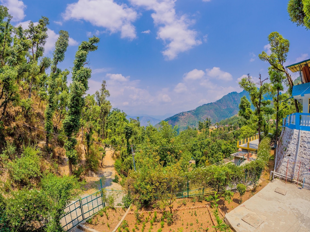 OYO 14133 Home Oak Cottage 1BHK Kempty Road