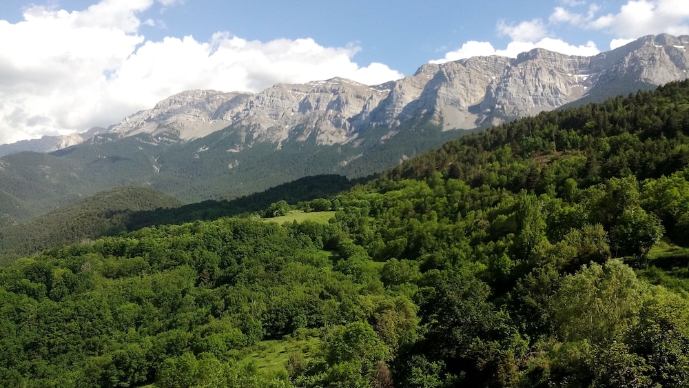 Casa rural Paller i Cort del Pairot