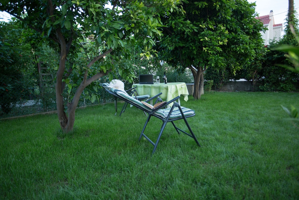 Photo 38
