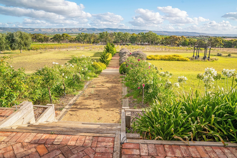 Condor Estate with Vineyard & Fireplace