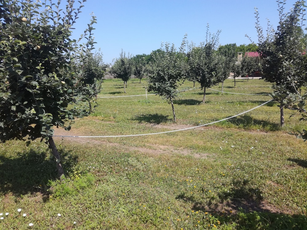 Salas Farma 47 view 4