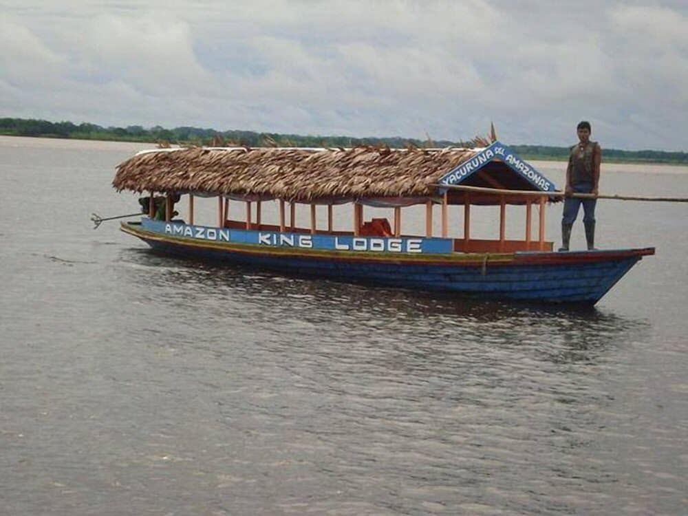 Amazon King