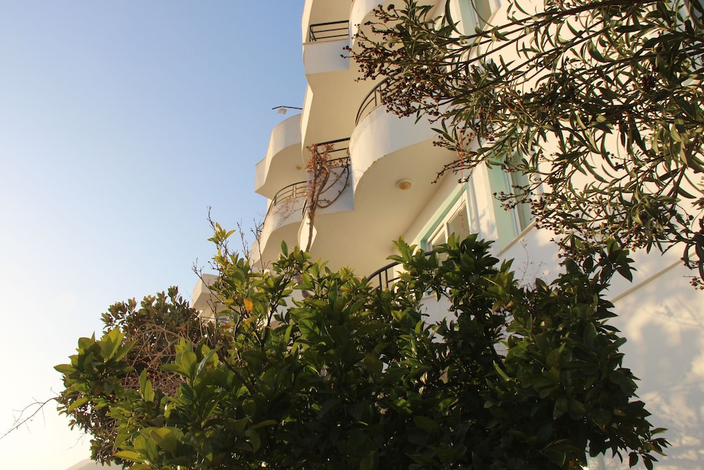 Photo 23
