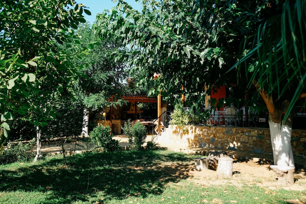 Photo 37