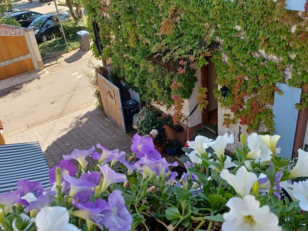 Holiday Apartment Monet in Oberrotweil