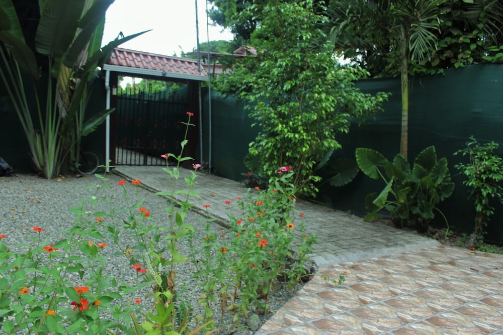 Photo 20