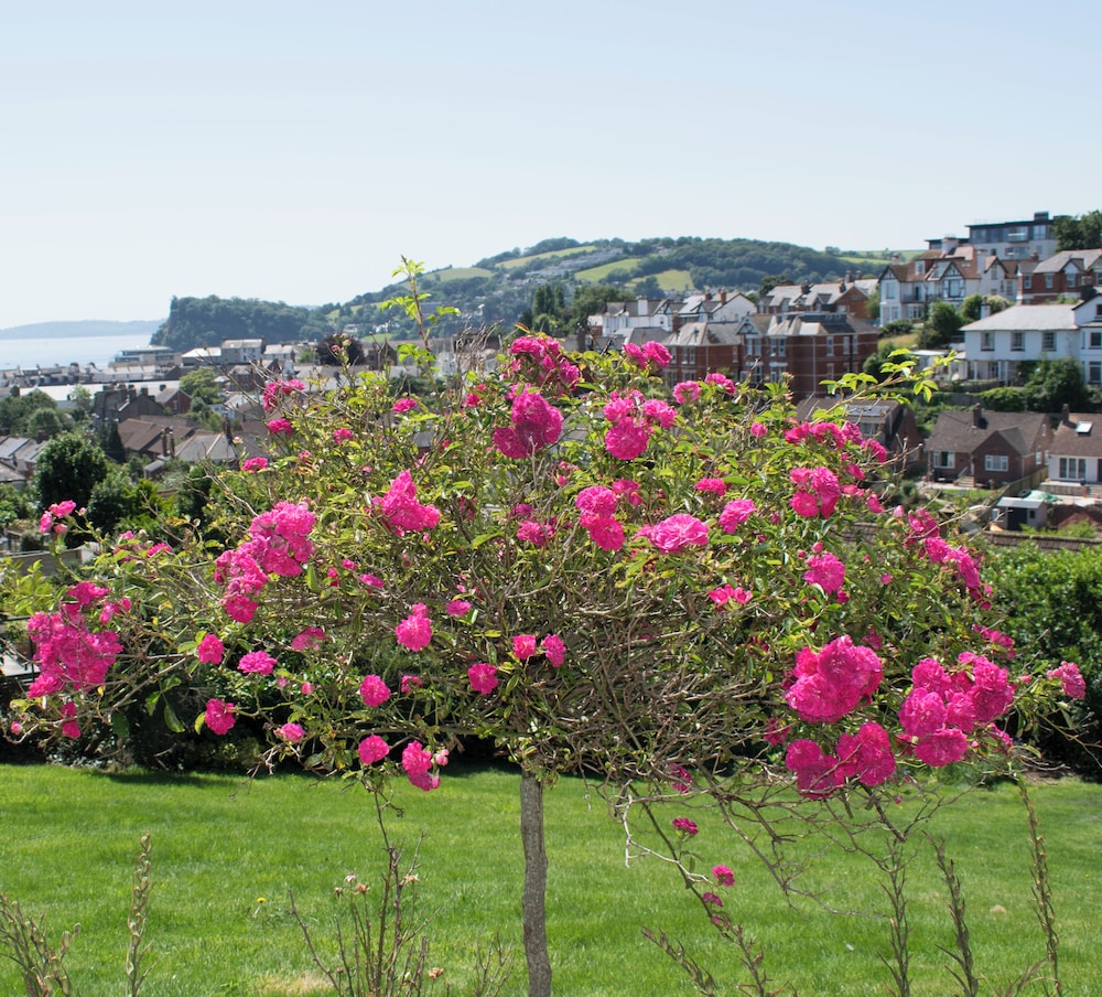 Woodlands Teignmouth