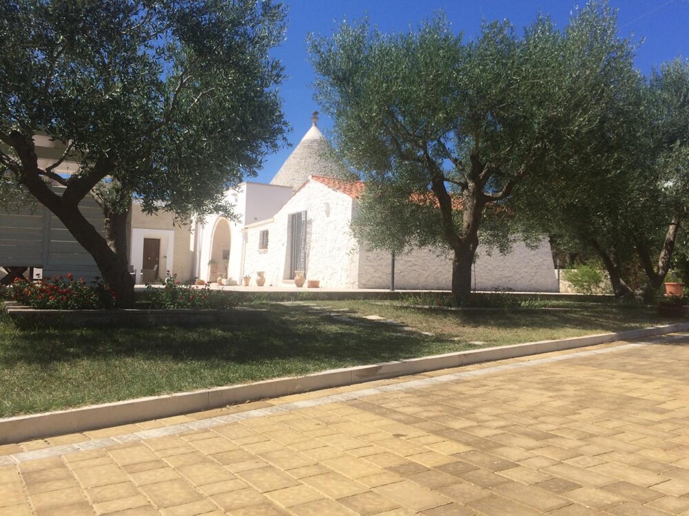Photo 38