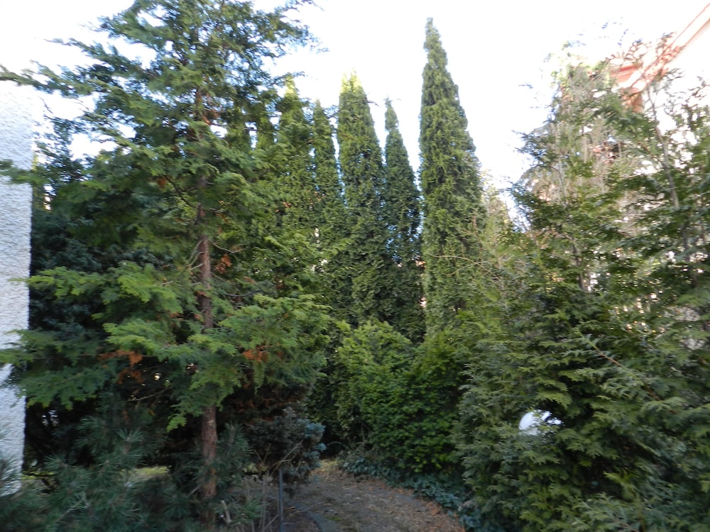 Villa ALFA