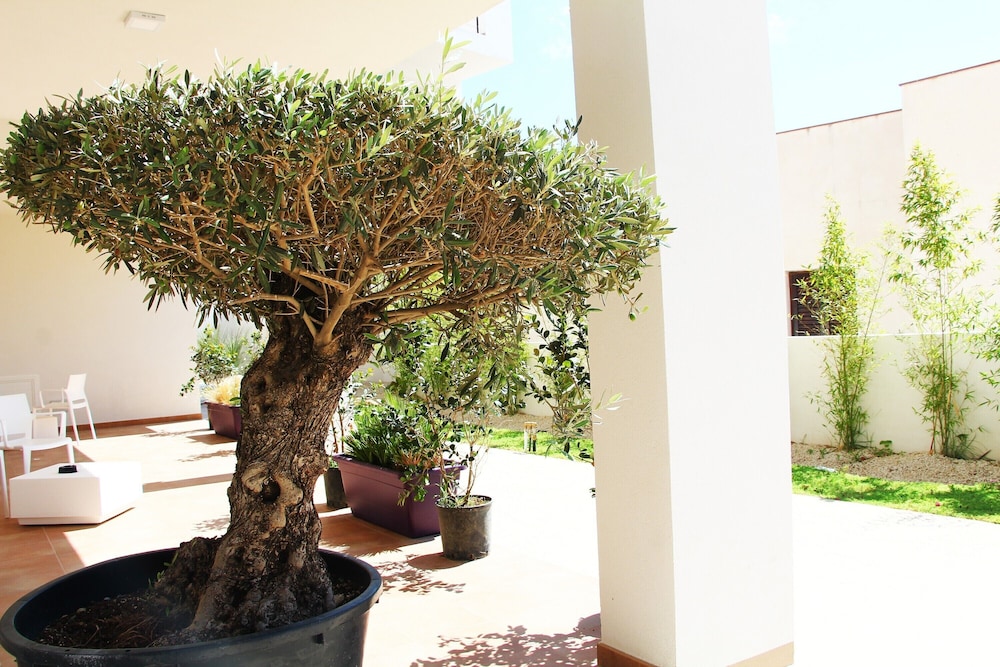 Resort Il Mulino
