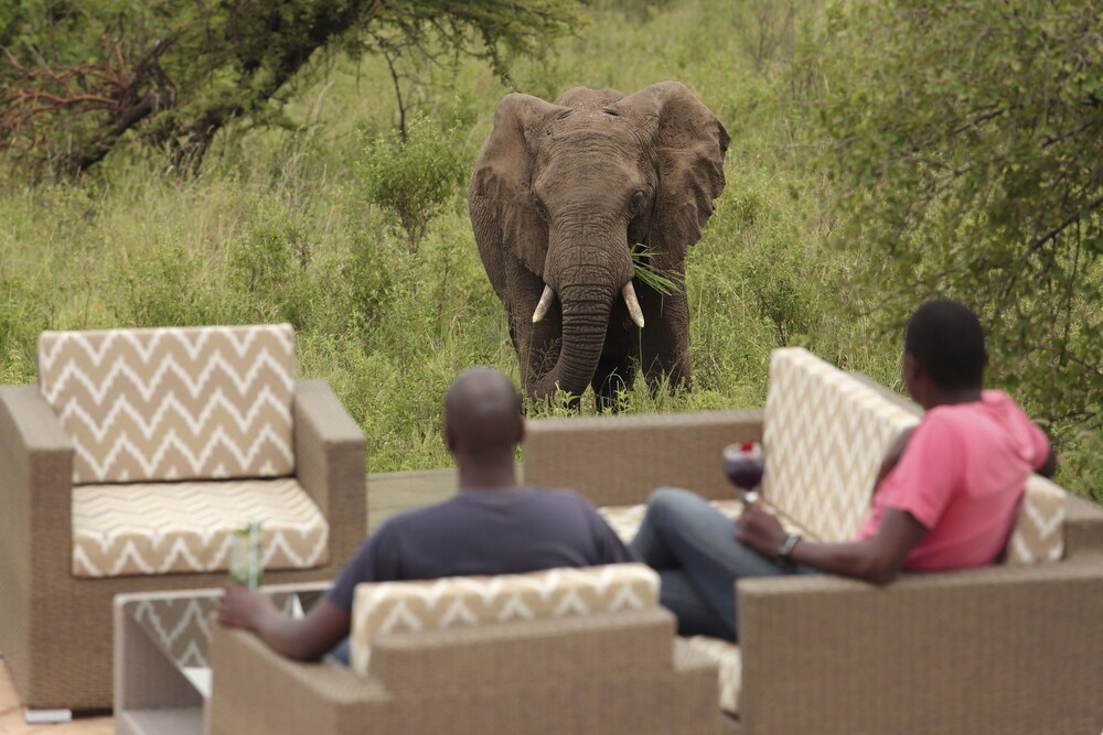 Spirit Of The Masai Mara