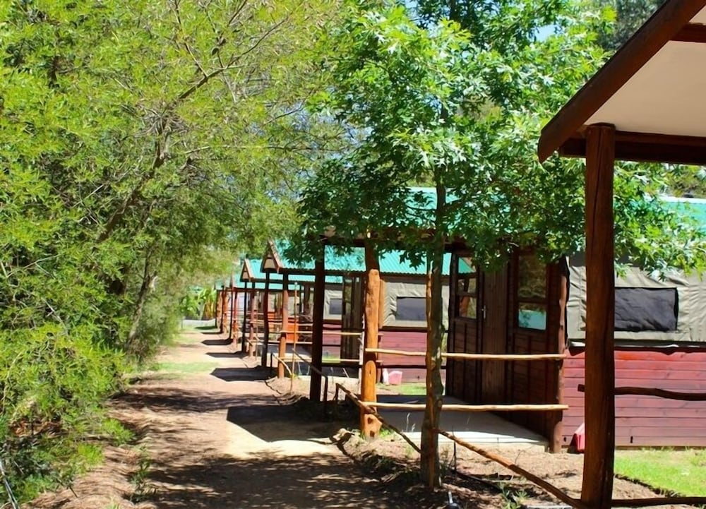 Tri Active Lodge