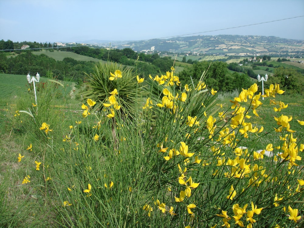Panoramic Villa Italy Just few Minutes Drive From the Beach view 5
