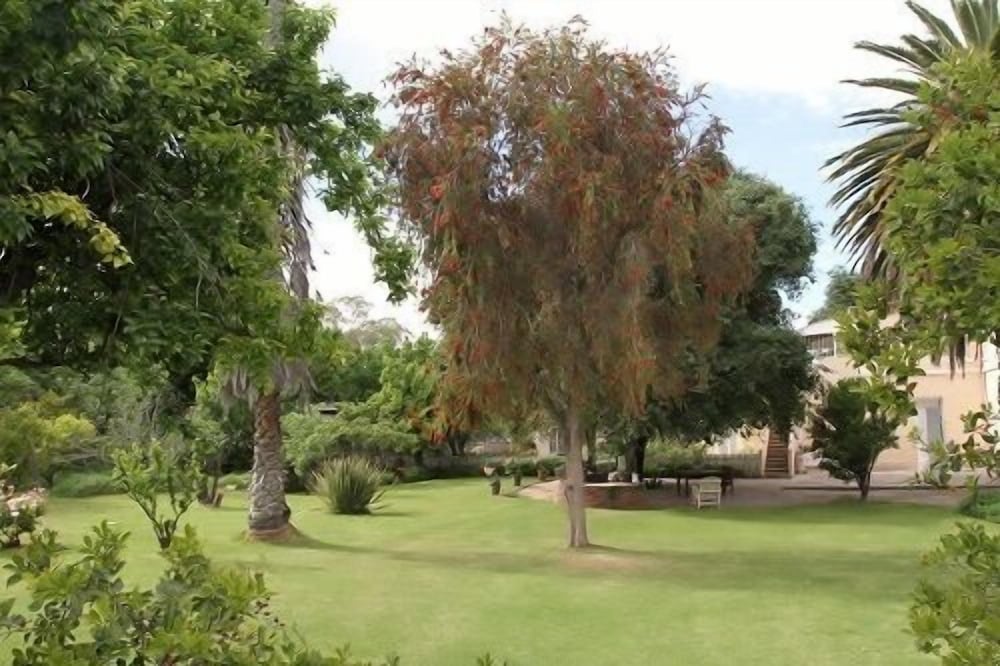 Albert House B&B