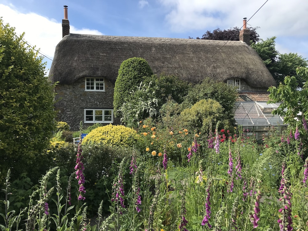 Ilminster Vacations - Corner House - Property Image 1