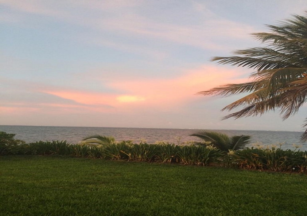 Flamingo Beach Plus