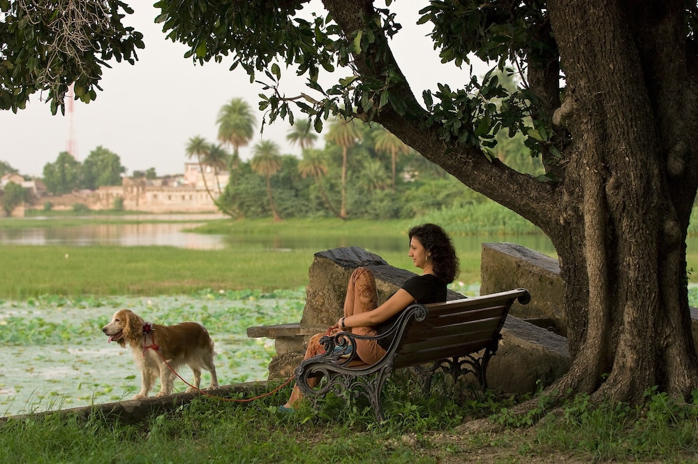 Shahpura Bagh