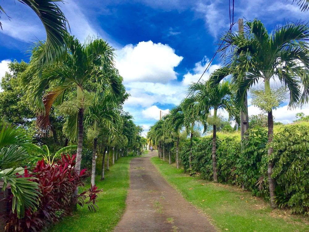 PARADIS TROPICAL appart'hotel
