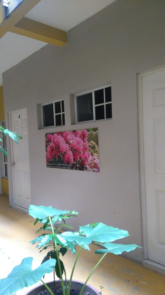 Hotel Shagul