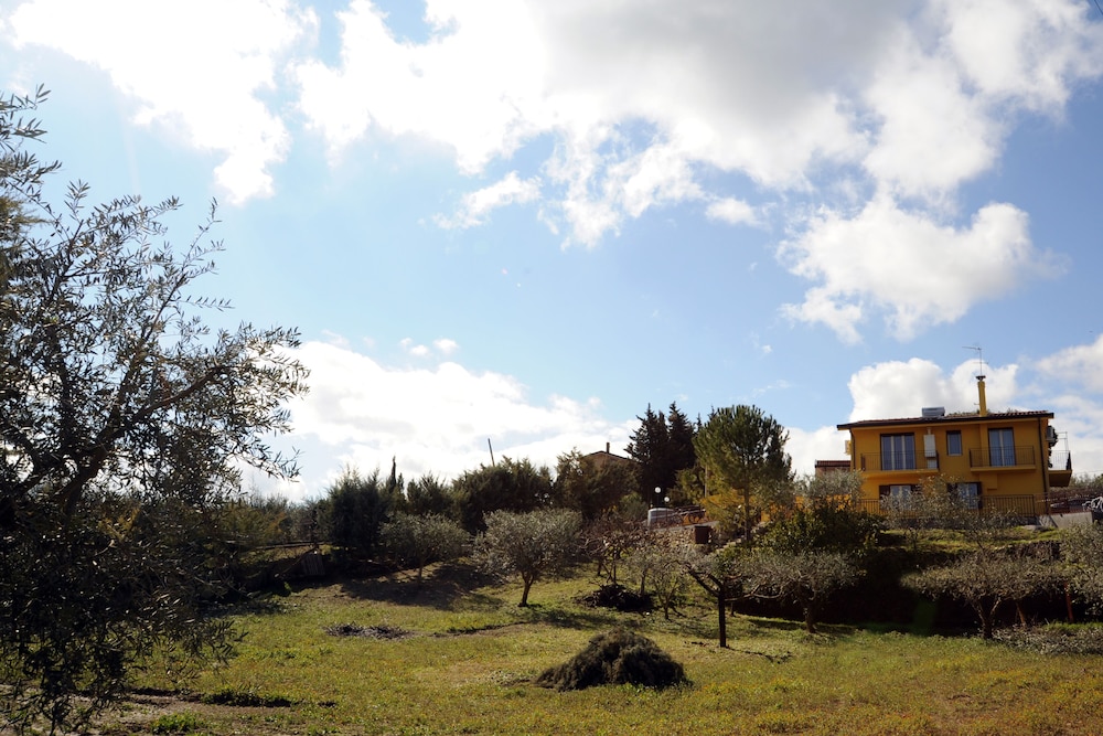 Photo 41