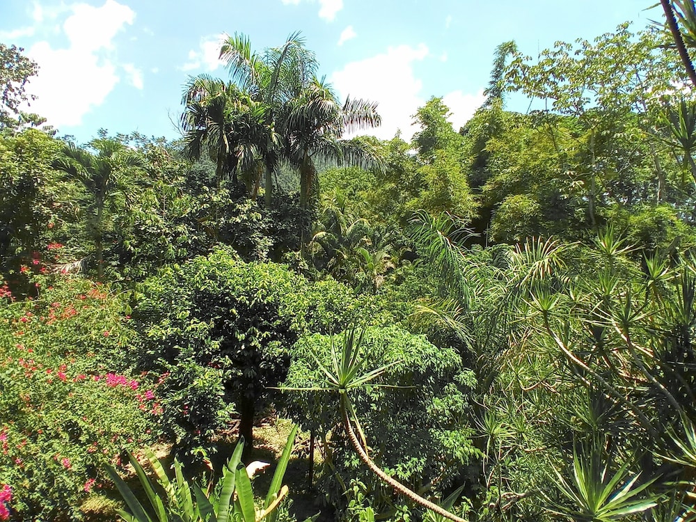 Omega Tours Adventure Company & Eco Jungle Lodge