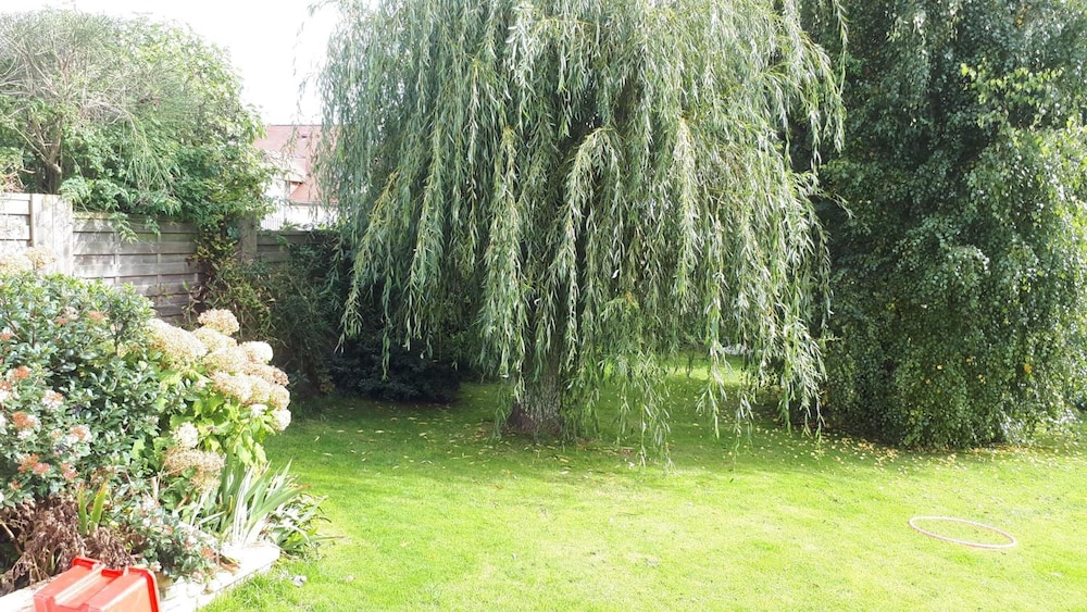 Photo 24