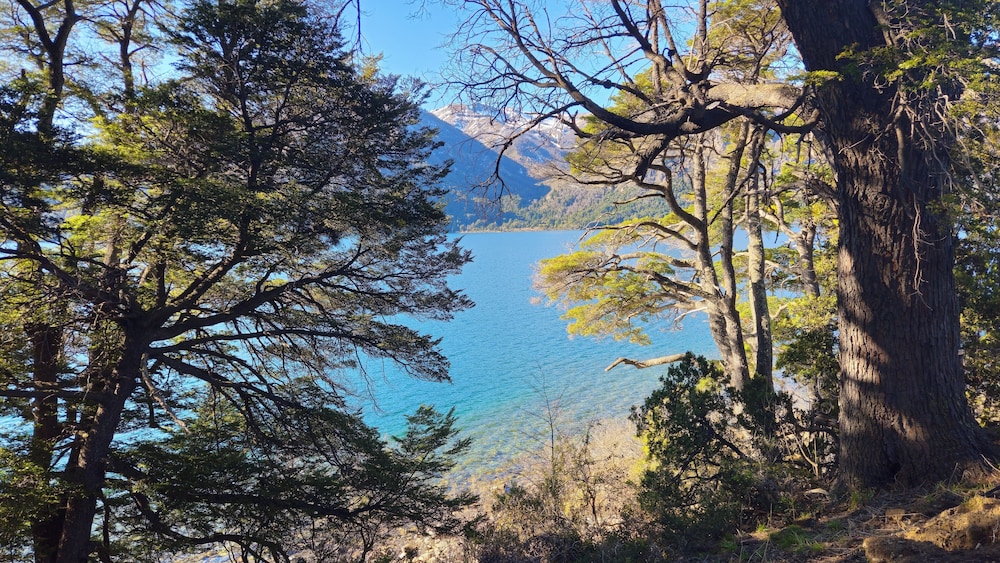 La Morada Lodge & Glamping - Meliquina