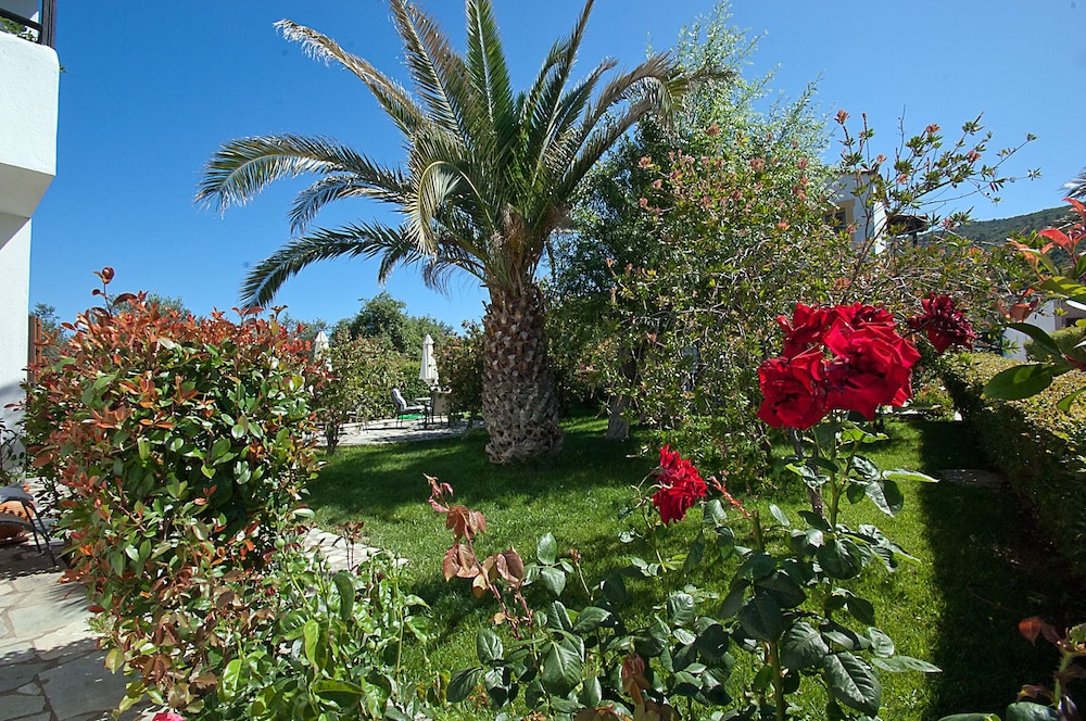 Photo 40