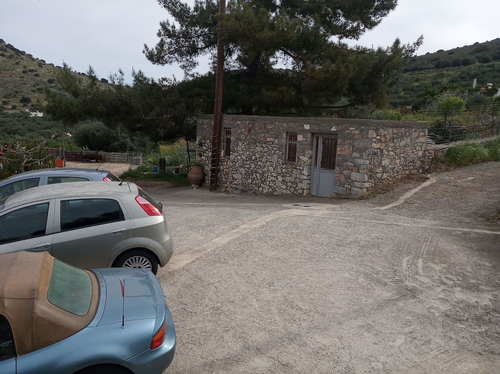 Photo 16