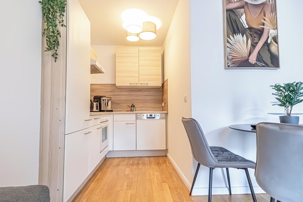 Nice 1BR 1LR Apartment City Center