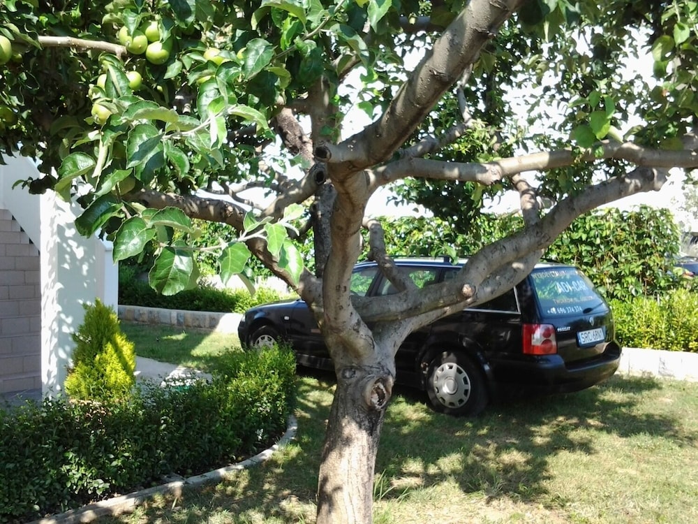 Photo 12