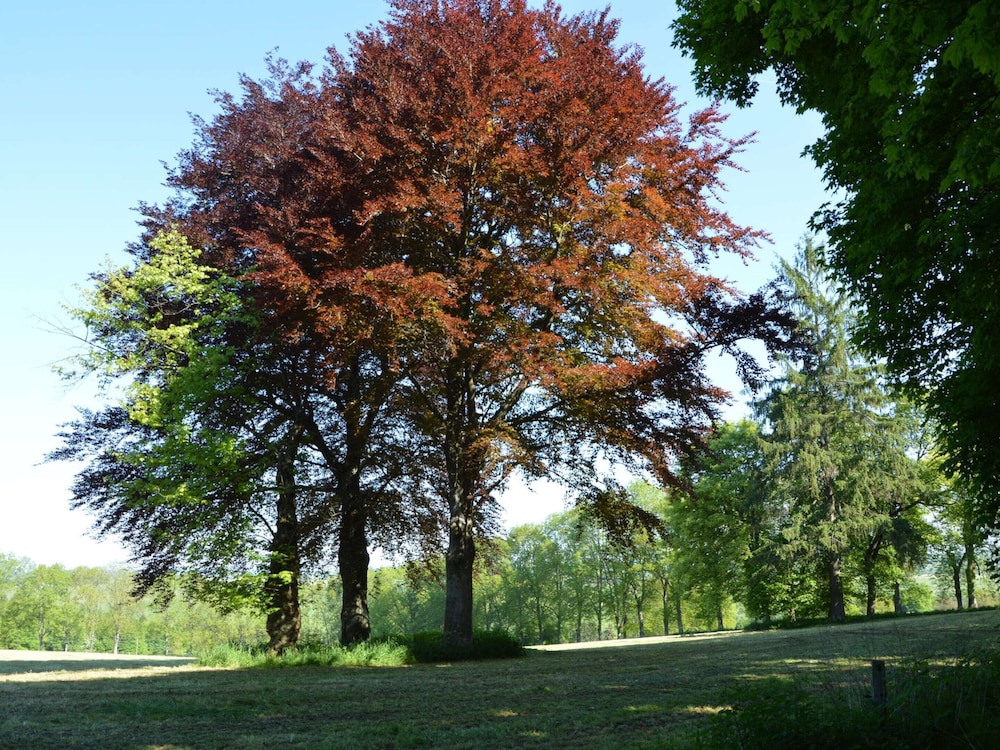 Photo 25