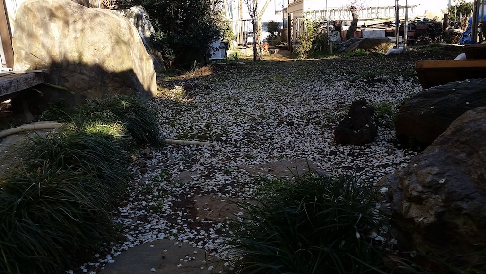 Photo 17