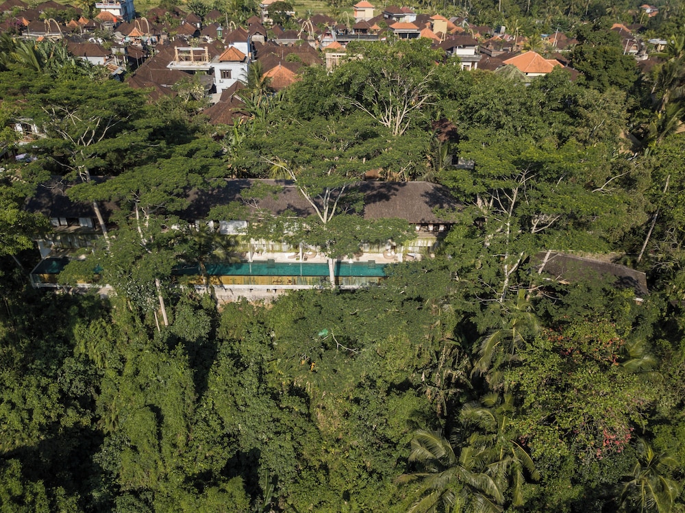 The Hidden Paradise Ubud