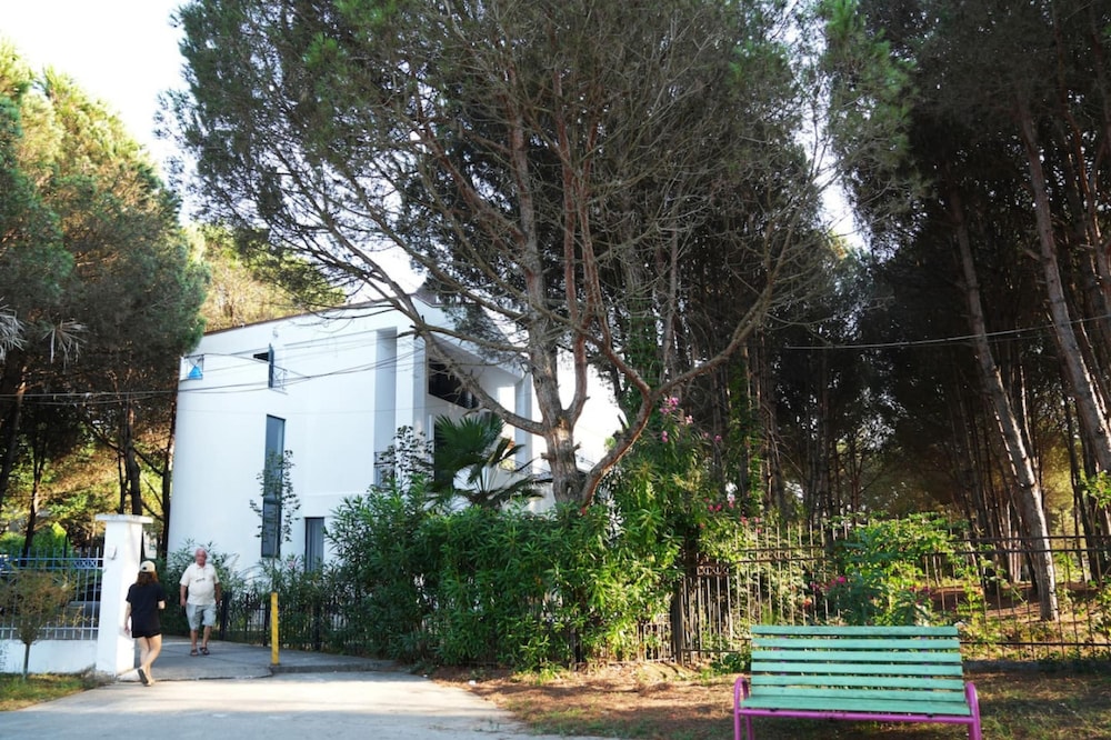The Beachfront Villa