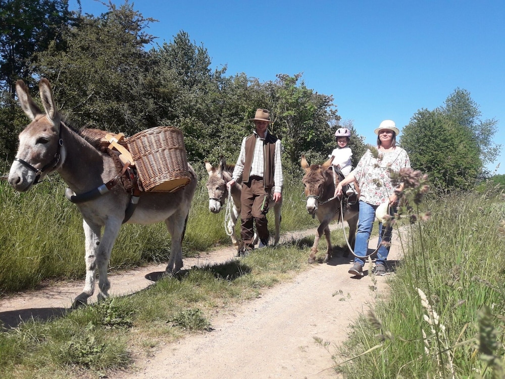 Familienfreundlicher Urlaub im Landhaus Obergude